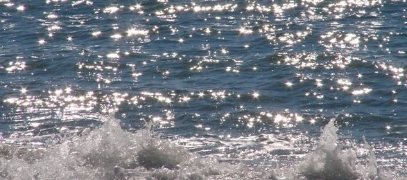 Wasser-587x346.jpg